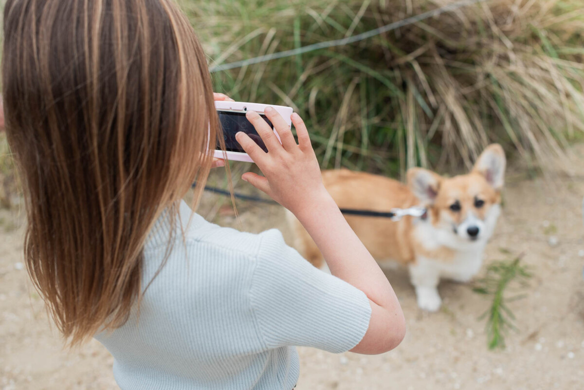 Barnamyndavél - Urban Zoo - Unicorn - Image 16