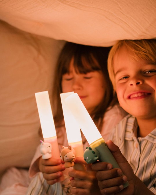 Zoo Ljós - Refur - Image 10