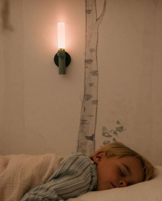 Zoo Ljós - Risaeðla - Image 4