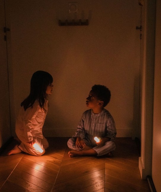 Zoo Ljós - Refur - Image 11