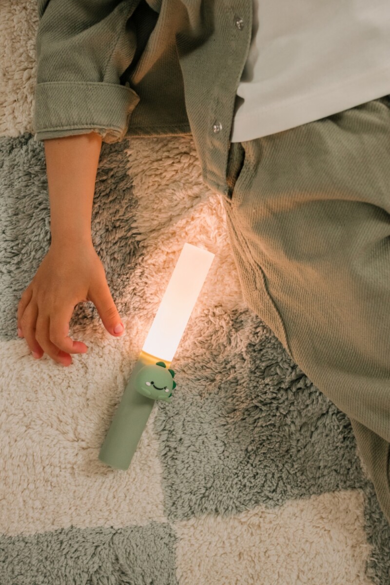 Zoo Ljós - Risaeðla - Image 21