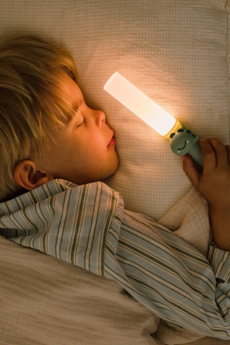 Zoo Ljós - Risaeðla - Image 3