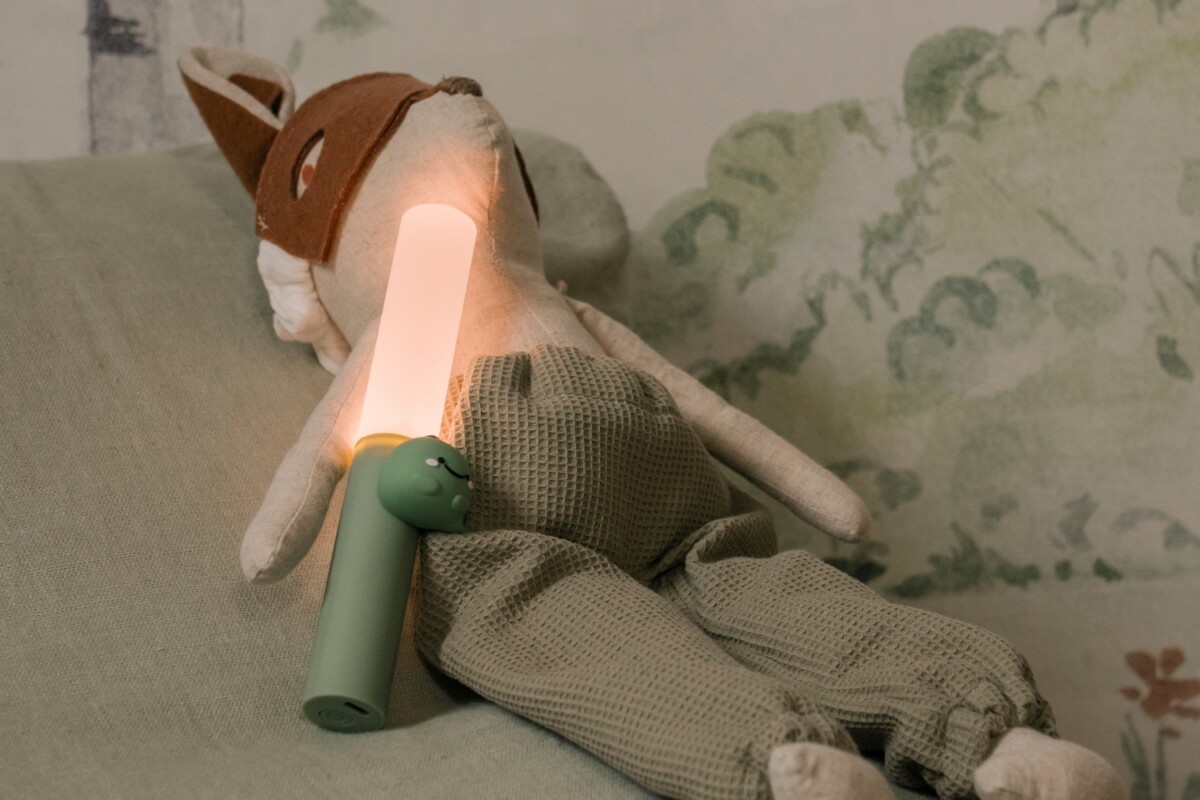 Zoo Ljós - Risaeðla - Image 19