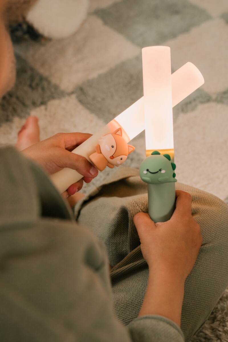 Zoo Ljós - Risaeðla - Image 13