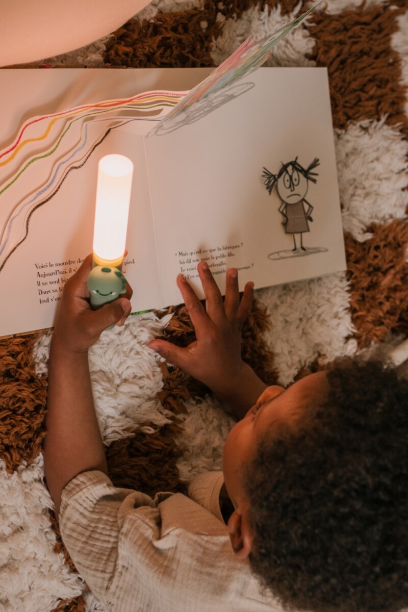 Zoo Ljós - Risaeðla - Image 20