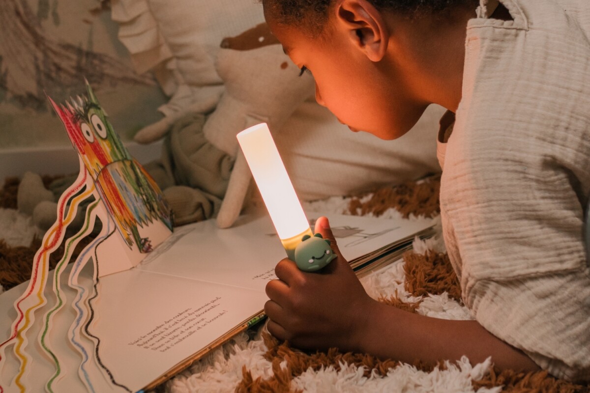 Zoo Ljós - Risaeðla - Image 8