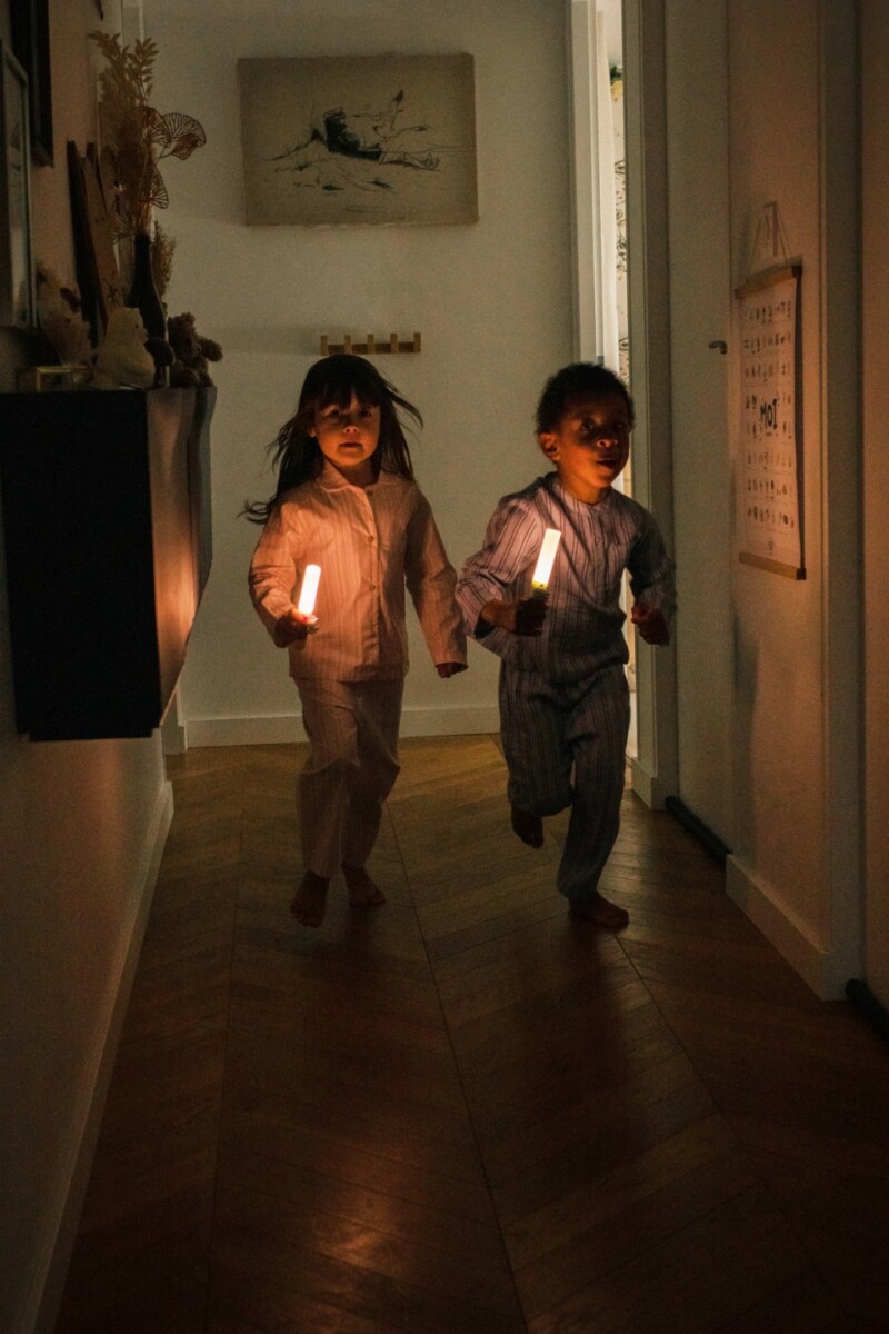 Zoo Ljós - Risaeðla - Image 11