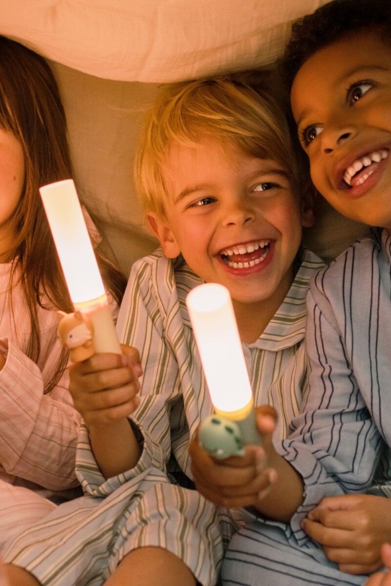 Zoo Ljós - Refur - Image 5