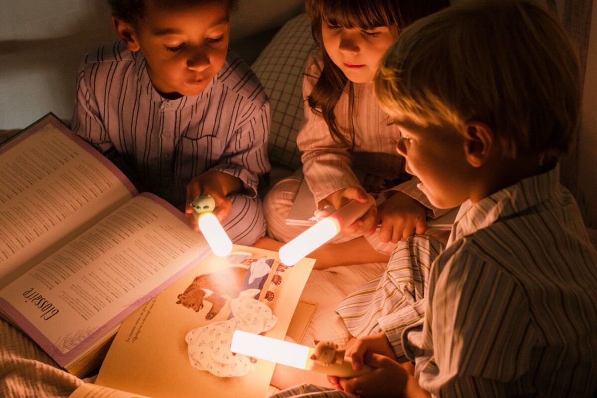 Zoo Ljós - Refur - Image 2