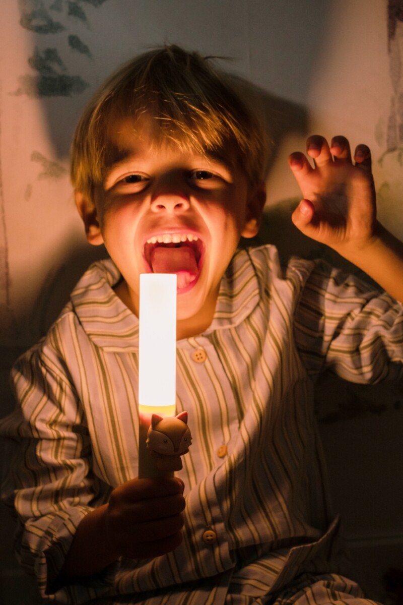 Zoo Ljós - Refur - Image 17