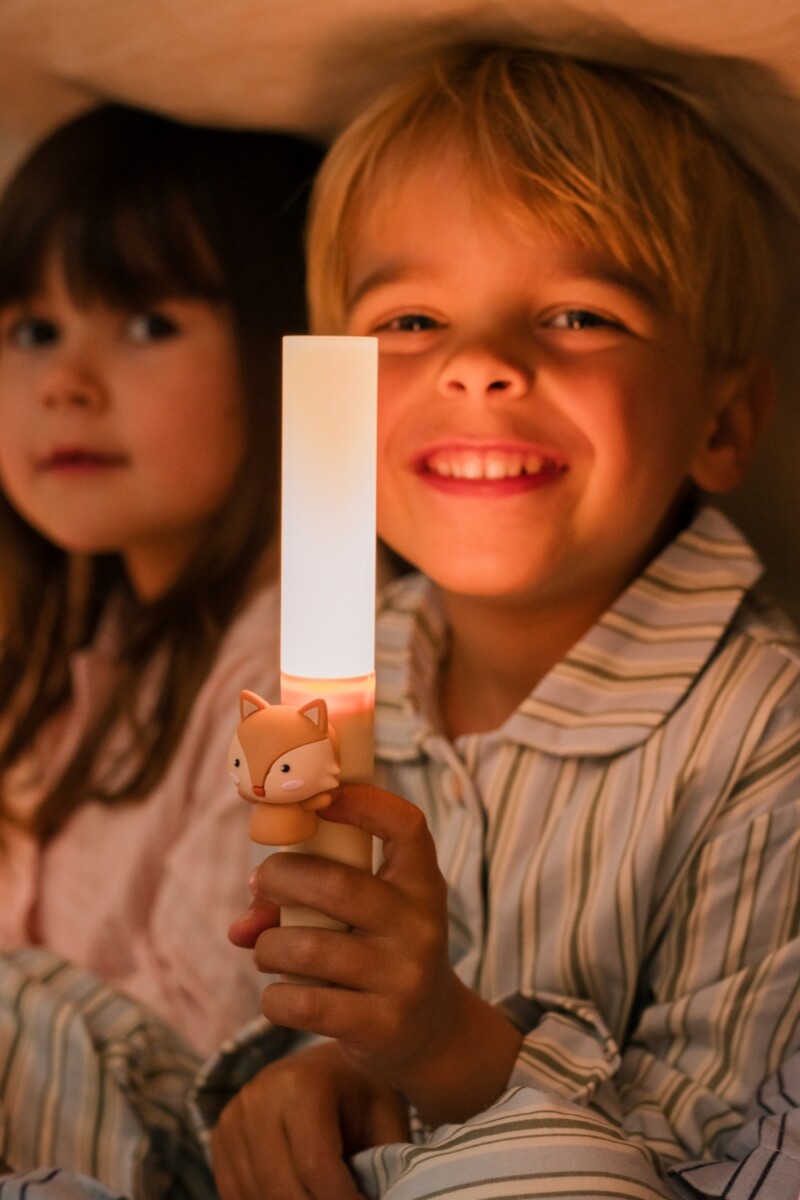 Zoo Ljós - Refur - Image 8