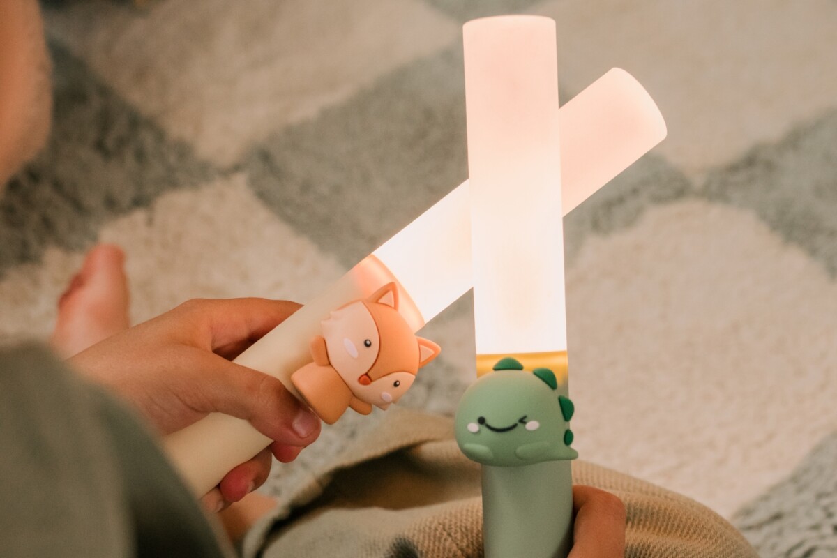 Zoo Ljós - Refur - Image 23