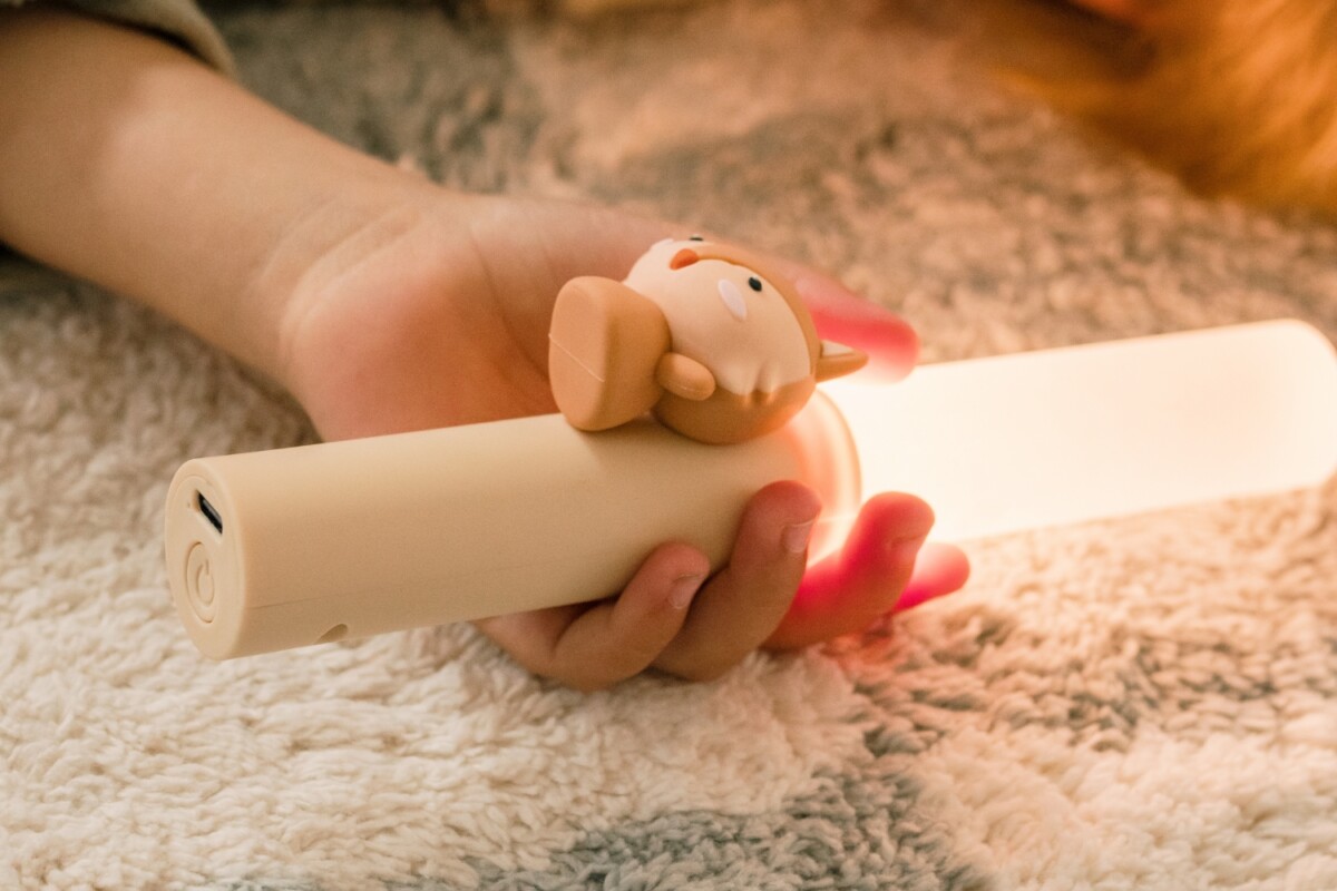 Zoo Ljós - Refur - Image 12