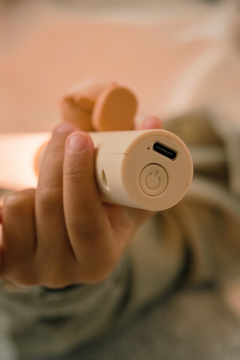 Zoo Ljós - Refur - Image 22