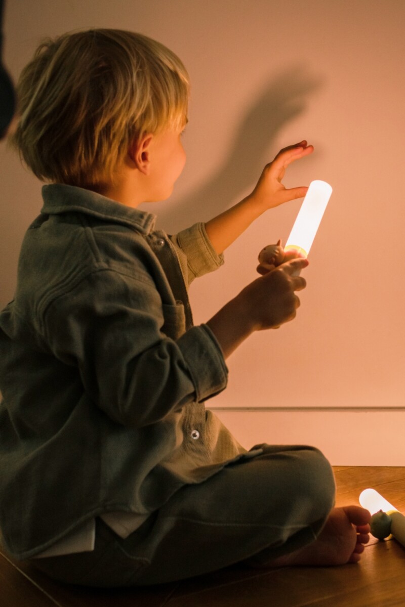 Zoo Ljós - Risaeðla - Image 15