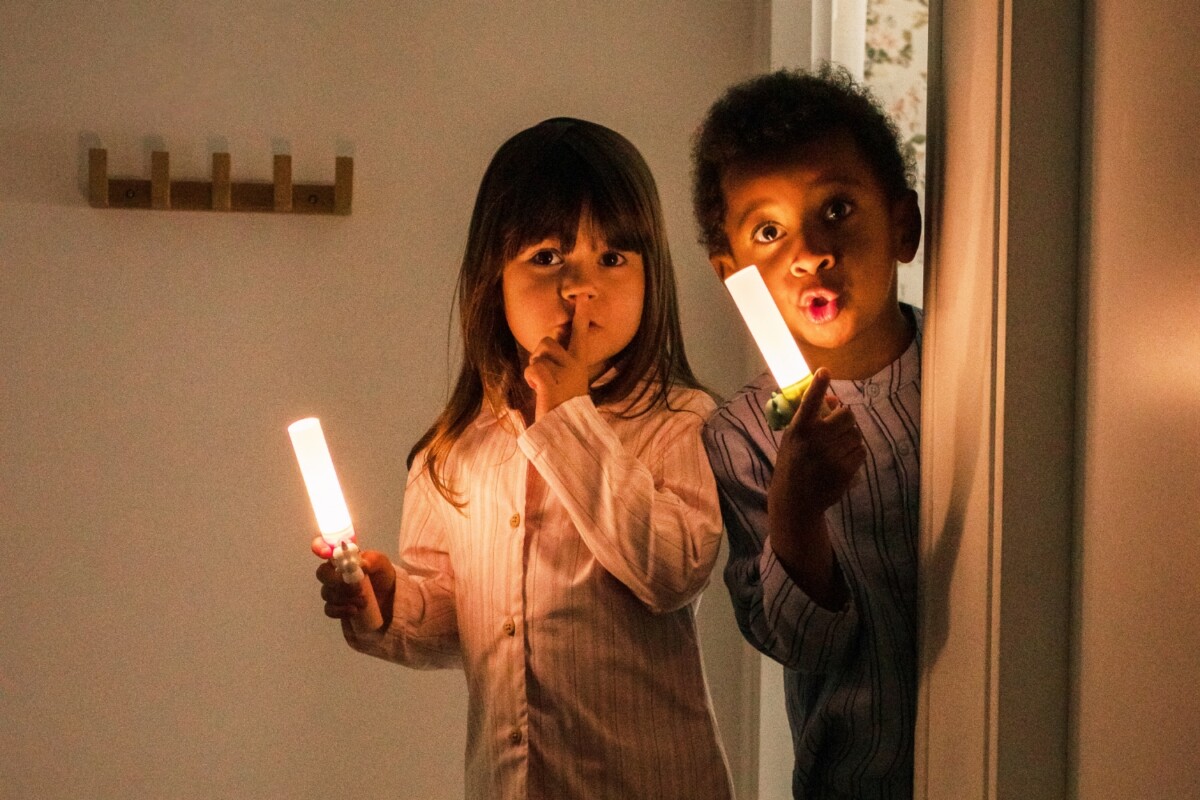 Zoo Ljós - Refur - Image 7