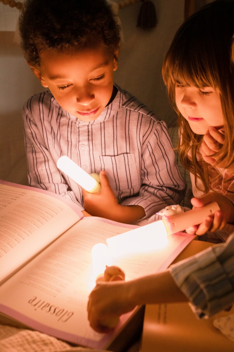 Zoo Ljós - Einhyrningur - Image 10