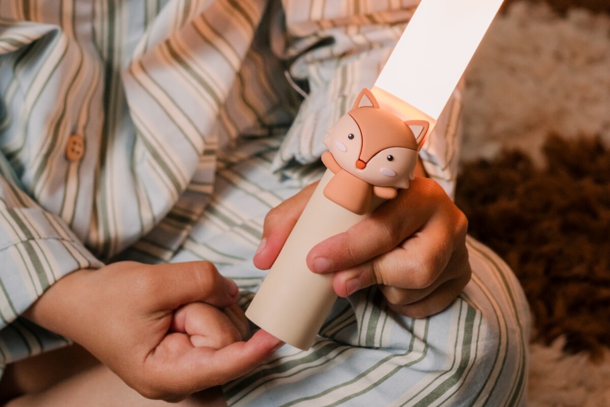 Zoo Ljós - Refur - Image 3