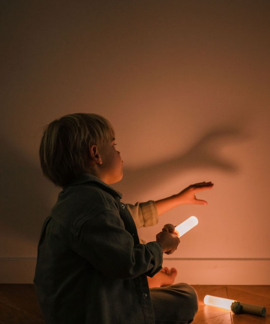 Zoo Ljós - Refur - Image 4