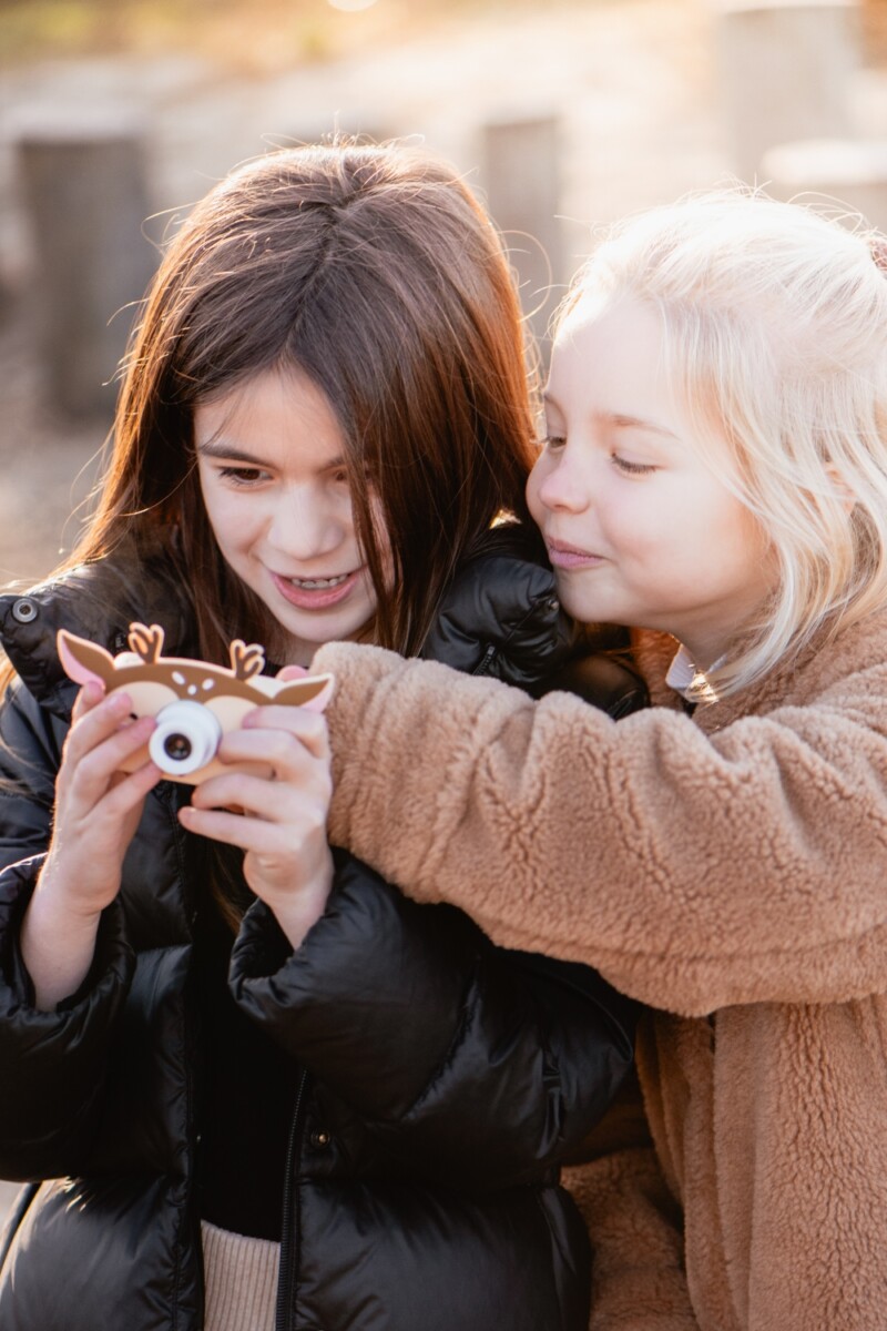 Barnamyndavél - Zoo Friends - Dádýr - Image 8